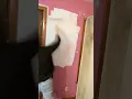 Phase 1 Goodbye Pink Walls