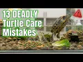 13 DEADLY Turtle Care Mistakes
