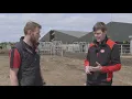 Download Lagu Milking 330 cows on five Lely robots - Large herd webinar