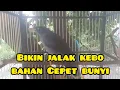 Download Lagu Jalak kebo gacor  pancingan burung jalak