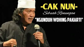 cak nun 