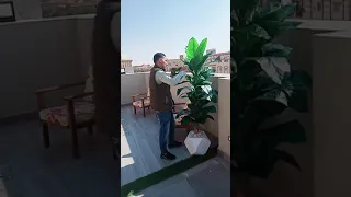 شجر ونخل صناعي 01153043288 