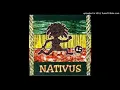 natiruts- presente de um beija flor