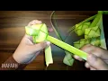 Download Lagu Cara Membuat Ketupat Lebaran untuk Pemula | Ketupat Satu Janur | Inafarh