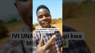 UNAMPA ASILIMIA NGAPI UYU MSANII Trending Trendingreels Trendingshorts Trending Vairalvideo Vairal  UNAMPA ASILIMIA NGAPI UYU MSANII Trending Trendingreels Trendingshorts Trending Vairalvideo Vairal