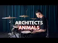 Architects - Animals | Drum Cover