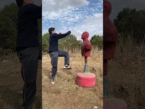 Taekwondo !!