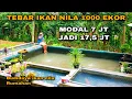 Lagu TEBAR IKAN NILA 1000 EKOR - ESTIMASI MODAL DAN KEUNTUNGAN - INSPIRASI USAHA BUDIDAYA IKAN NILA