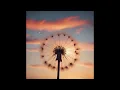 Download Lagu Dandelion Dreams (Official Audio) -  Lunar Vibes FM
