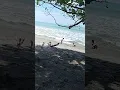 Download Lagu Kalau udah kepantai, panas terik pun tetap main