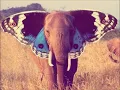 Todd Terje - Inspector Norse (Radio Edit)