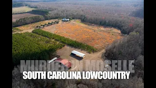 Murder in Moselle South Carolina - Murdaugh