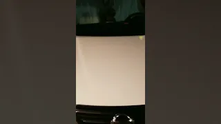 Lyft Cats