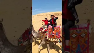 سامر المدني في الاهرمااات اغنيه انا محترم مش محترم 