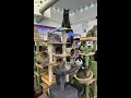 Download Lagu CAT TV! BORIS AND WILLS  Grand Tour Furball Farm Cat Sanctuary (24/7)
