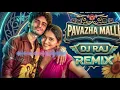 Pavazha Malli Remix | EDM Dance Mix | DJ Raj | Shruti Haasan | Sai Abhyankar
