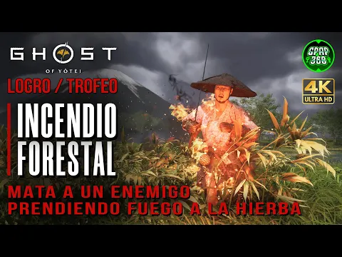 Video del Trofeo Incendio forestal