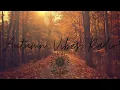 Download Lagu Autumn Vibes Radio — Sophia Bellamy | Live Acoustic \u0026 Chill | Fall 2025 🍂