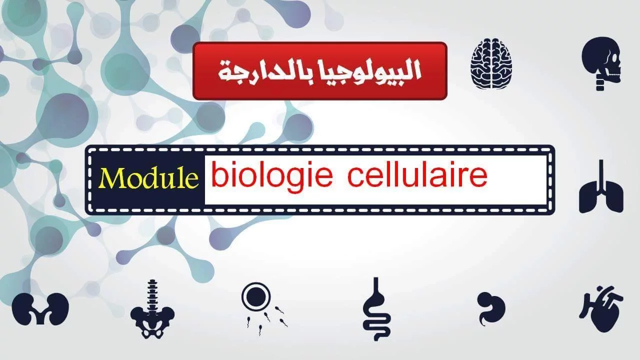 Cours biologie cellulaire partie 1| البيولوجيا بالدارجة