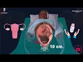 Download Lagu Vaginal Delivery | Labour \u0026 Birth 👶🏻🤱🏻
