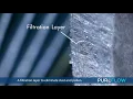 What makes PureFlow Cabin Air Filters different from the rest