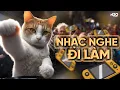 Lagu NHẠC NGHE ĐI LÀM #7🎧NHẠC TRẺ REMIX 2024🎧MIX HOUSE LAK \u0026 DEEP HOUSE MUSIC 2024