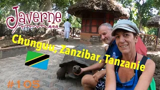 #105 Chunguu – Zanzibar- Tanzanie 🇹🇿
