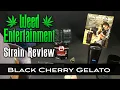 Black Cherry Gelato - Hybrid