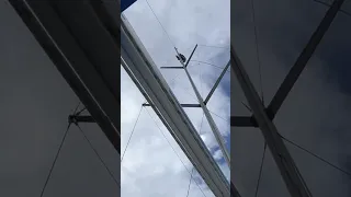 #fixing the #sails so we aren’t dead in the water. #sailing #sailinglife #help