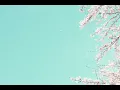 Chafa - 'In Bloom'