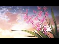 Nancy Ajram - Baddi Hada Hebbou نانسي عجرم - بدي حدا حب // 𝓼𝓵𝓸𝔀𝓮𝓭 & 𝓻𝓮𝓿𝓮𝓻𝓫