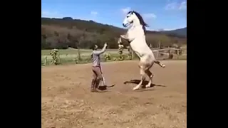 مقام في الذرى صعب المنال دندنها