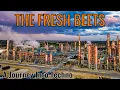 Fresh Beets - Live DJ Set