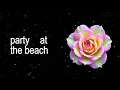 Party at the beach song lyrics original video