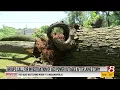 Groups call for investigation of AES power outages after June storm