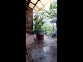 Download Lagu Relaxi the sound of rain makes calm