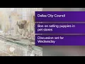 Proposed ordinance calls for ban of puppies kittens at Dallas pet stores