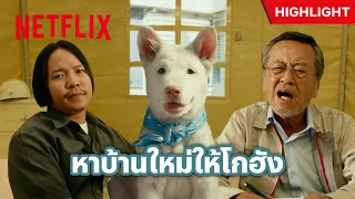 น้องหมาที่น่ารักขนาดนี้ ใครจะได้เป็นเจ้าของกันนะ? - โกฮัง..หัวใจโกโฮม | Netflix