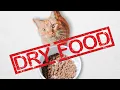 Download Lagu Why You Shouldn't Feed Your Cat Dry Food