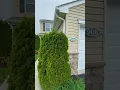 Tyler Townhome 900 3 Bedroom 2 5 Bath in Carlisle Pa