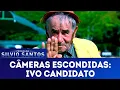 Download Lagu Ivo Candidato | Câmeras Escondidas (07/10/18)
