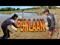Download Lagu Punlaan ni Sr. Harabas at Pongloy - EP1905
