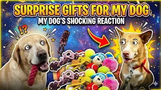 Surprise Gifts For My Dog | Shocking Reaction! 😱🐶
