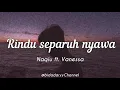 Download Lagu Rindu Separuh Nyawa - Naqiu ft Vanessa ( lirik ) OST Rindu Awak Separuh Nyawa