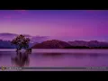 8 Hours Classical Piano Music | Chopin, Debussy, Mozart, Bach...