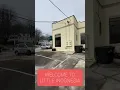 Welcome to Little Indonesia Tour