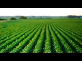 New farm legislation would overhaul how the U S tracks and reports subsidies