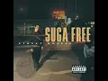 Suga Free Ft. DJ Quik - Why You Bullshittin
