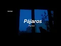 Porter - Pájaros (letra)