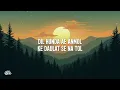 Amit Trivedi, Tochi Raina - Gal Mitthi Mitthi (Lyrics)